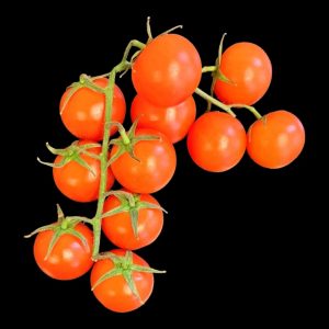 Cherry-Tomatoes